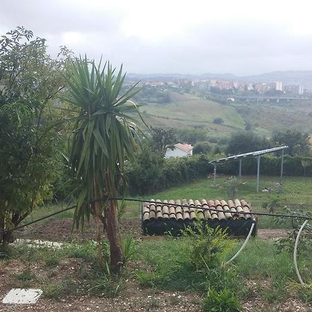 Le Querce Bed and Breakfast Ανκόνα Εξωτερικό φωτογραφία