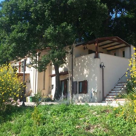 Le Querce Bed and Breakfast Ανκόνα Εξωτερικό φωτογραφία