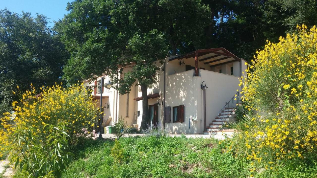Le Querce Bed and Breakfast Ανκόνα Εξωτερικό φωτογραφία